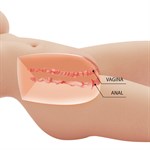 Телесный мастурбатор-торс Tiffany 532002