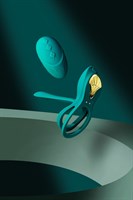 Зеленое эрекционное виброкольцо Bayek с пультом ДУ 532300