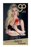 Пластиковая метелочка с красными пёрышками Small Feather Tickler - 32 см. 65311