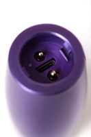 Фиолетовый вибратор Le Stelle PERKS SERIES EX-1 с 2 сменными насадками - фото 90082